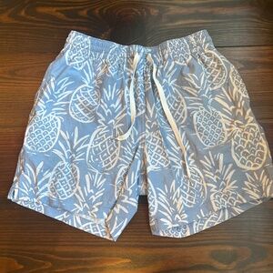 Chubbies men’s pineapple swim trunks size s